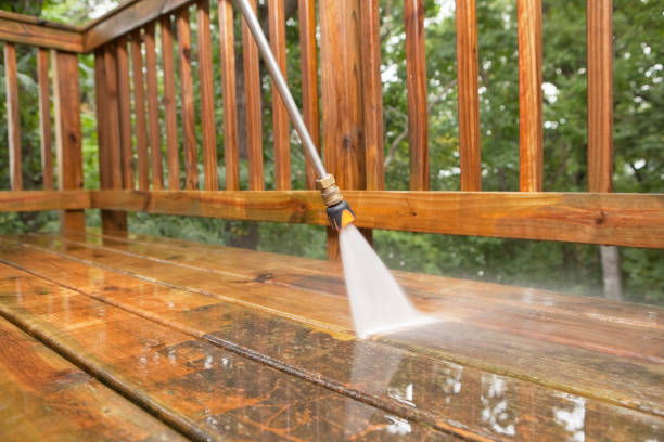 Best Power Washing Near Me  in Steger, IL