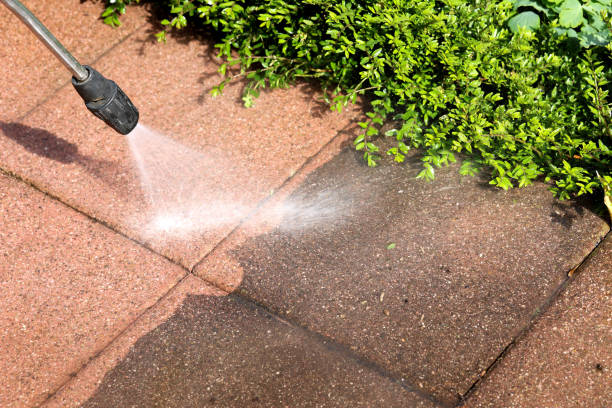  Steger, IL Pressure Washing Pros